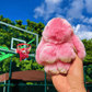 🐰 Handgemaakte Zachte Konijnen PomPom Sleutelhanger – Imitatiebont & Schattig Tasaccessoire!