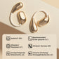 🎧2025 HiFi Waterdichte Oorhaak Bluetooth Hoofdtelefoon