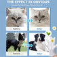 🎁Last Day Promotion 49% OFF🔥Dierenpoetsdoekjes voor honden en katten, reinigende en deodoriserende verzorgingshandschoenen