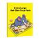 🔥Koop 2 krijg 1 gratis⚡Tijdelijke aanbieding📢Extra grote lijmvallen voor ratten