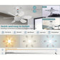 2-in-1 draagbare daklamp & lamp met afstandsbediening