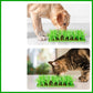 Siliconen Grasmat voor Katten