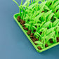 Siliconen Grasmat voor Katten
