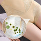 🔥49% KORTING🔥Dames Billen-Liftende Buik-Controle Hoge Taille Slipje