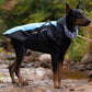 🐶Waterdichte Warme Jas voor Hond🐶