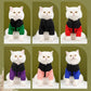 🔥49% UIT Kerstverkoop🔥Warme Jas met Rits voor Honden en Katten