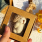 ⏰Final 3-hour Preferential Deal 💥💖Today Buy 1 Get 1 Free🎁Handmade Mini Plush Teddy Bear in Box