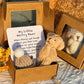⏰Final 3-hour Preferential Deal 💥💖Today Buy 1 Get 1 Free🎁Handmade Mini Plush Teddy Bear in Box