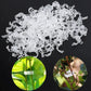 🔥Laatste Dag 50% UIT🔥Beveiligde plastic plantenklem