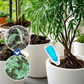 🌱Vloeibare reviver voor meerdere planten