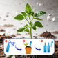 🌱Vloeibare reviver voor meerdere planten