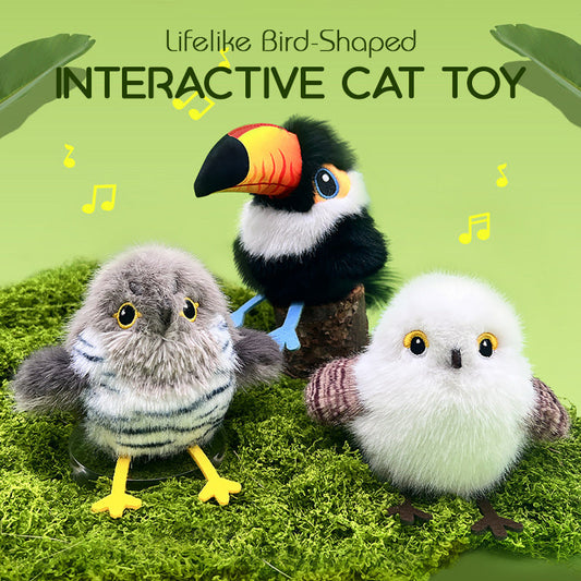 🔥Hot sale 50% korting🔥Interactief kattenspeeltje in de vorm van een realistische vogel🐱🐾