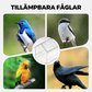 🐦 TIJDELIJK 60% KORTING – Transparante Hangende Vogelvoederbak | Voor Vogelkooien | Voerniveau Gemakkelijk Zichtbaar | Compact, Ruimtebesparend & Handig voor Dagelijks Voeren