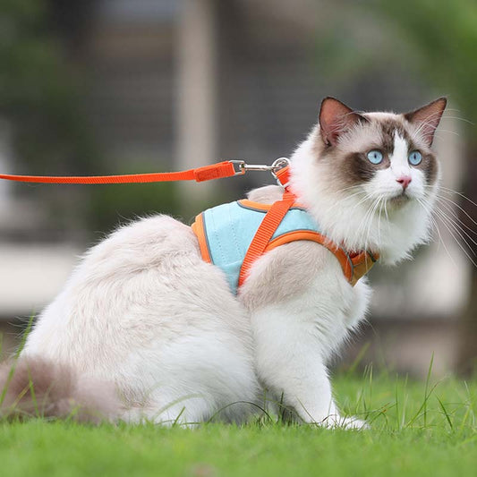 Anti-ontsnappingsreflecterend kattenharnas met riem