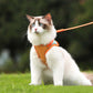 Anti-ontsnappingsreflecterend kattenharnas met riem