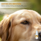 🐕🔥Zachte oogdruppels voor huisdieren