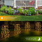 💡 KOOP 2, KRIJG 1 GRATIS! ☀️ Decoratieve buitenverlichting op zonne-energie – Creëer een prachtige sfeer in je tuin of op je pad, schakelt automatisch aan/uit en is weerbestendig 🏡
