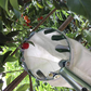 🍎FLASH SALE! Fruitplukker met Opvangmand – Verzinkt IJzeren Plukkop, Stoffen Zak – Met of Zonder Telescopische Steel (1,6–4,0m) – Pluk vanaf de Grond! ✨