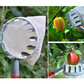 🍎FLASH SALE! Fruitplukker met Opvangmand – Verzinkt IJzeren Plukkop, Stoffen Zak – Met of Zonder Telescopische Steel (1,6–4,0m) – Pluk vanaf de Grond! ✨