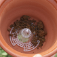 🌿 NU 49% KORTING! 🔥 Premium 3D Kegelvormige Potbodem – Voorkomt Wortelrot, Verbeterd Drainage & Luchtcirculatie voor Gezondere Planten 🌳