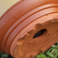 🌿 NU 49% KORTING! 🔥 Premium 3D Kegelvormige Potbodem – Voorkomt Wortelrot, Verbeterd Drainage & Luchtcirculatie voor Gezondere Planten 🌳