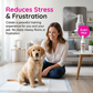 🔥Huisdier Zindelijkheidstraining Spray voor Honden & Katten