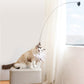 🐱🐦 Interactieve Kattenspeelset met Vogelsimulatie – Stimuleert Spelen & Jachtinstinct | Leuk voor Alleen & Samen Spelen