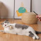 🐱🐦 Interactieve Kattenspeelset met Vogelsimulatie – Stimuleert Spelen & Jachtinstinct | Leuk voor Alleen & Samen Spelen