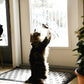 🐱🐦 Interactieve Kattenspeelset met Vogelsimulatie – Stimuleert Spelen & Jachtinstinct | Leuk voor Alleen & Samen Spelen