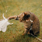 🐱🐦 Interactieve Kattenspeelset met Vogelsimulatie – Stimuleert Spelen & Jachtinstinct | Leuk voor Alleen & Samen Spelen