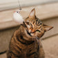 🐱🐦 Interactieve Kattenspeelset met Vogelsimulatie – Stimuleert Spelen & Jachtinstinct | Leuk voor Alleen & Samen Spelen