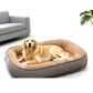 🐾 50% KORTING! Huisdierbed met Schuimbasis & Dubbele Textuur – 5 Maten, 3 Kleuren | Voor Hond & Kat 🛏️☁️