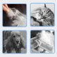 🐾 Deshedding Borstel voor Honden & Katten – Metalen Tanden voor Losse Onderwol & Minder Verharen